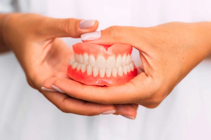 Hands displaying a full set of white dental teeth model against neutral background.